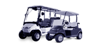 Electric Golf Carts & Lifters Category in the EV Database