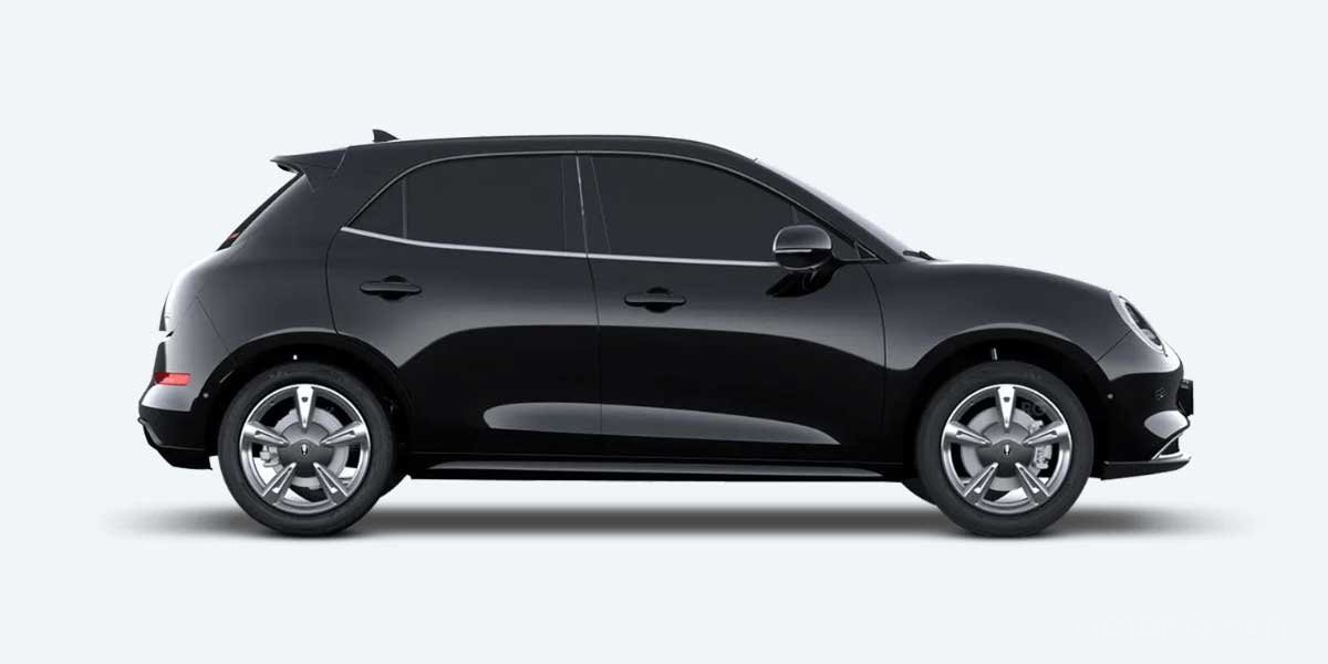 ora-funky-cat-2024.1_l ORA Funky Cat 2024 Video Overview