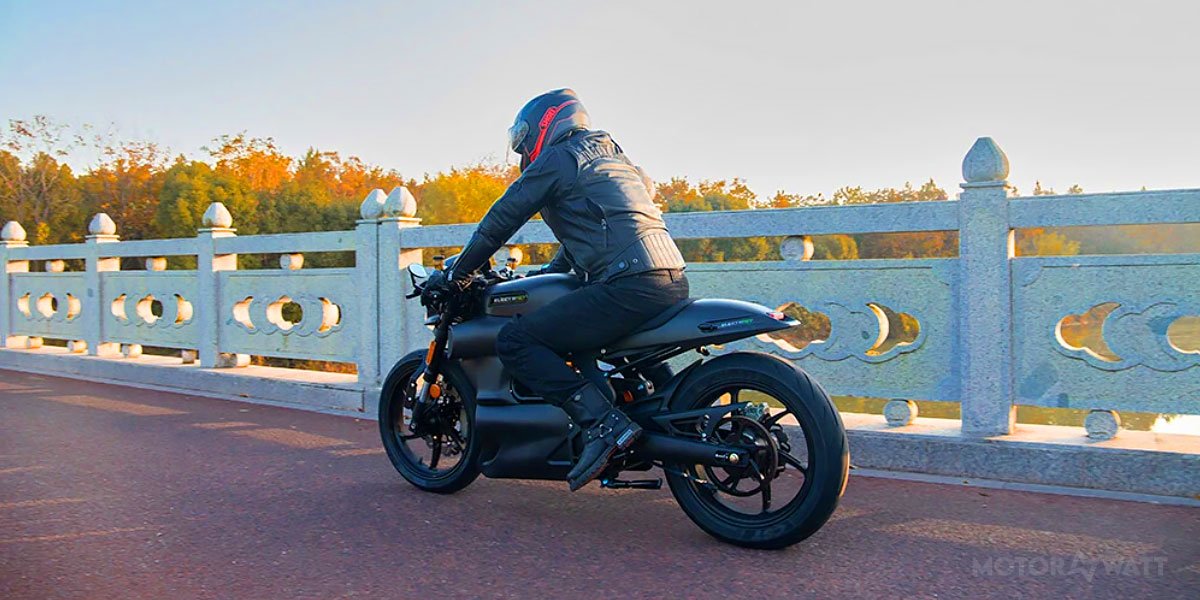 electripet-hipee.1_l ElectriPet Hipee Video Overview