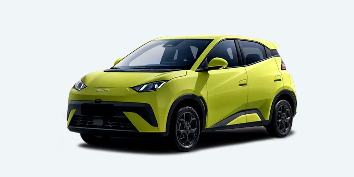 BYD DOLPHIN SURF photo
