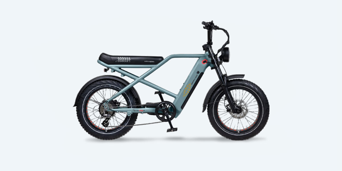 Retrospec Grateful Dead Valen Rev+ Fat Tire