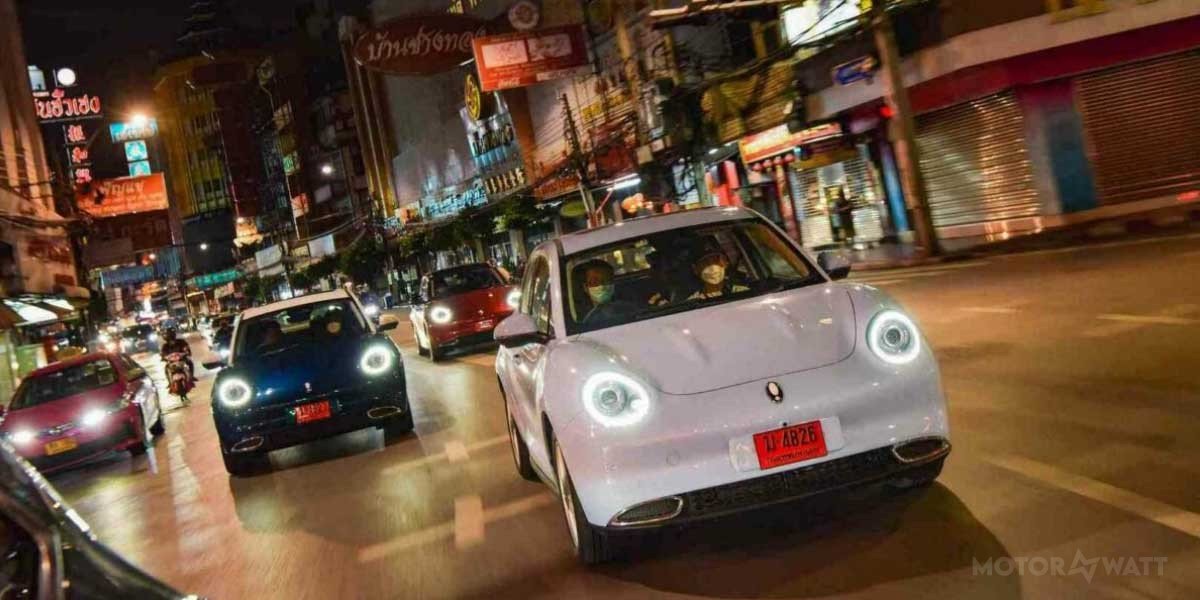 ora-good-cat.1_l Ora Good Cat Video Overview