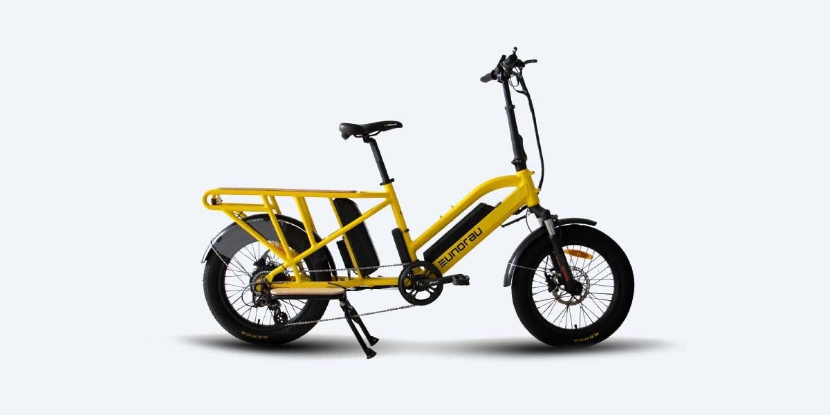 Electric Bicycle Eunorau G30-CARGO Video Review