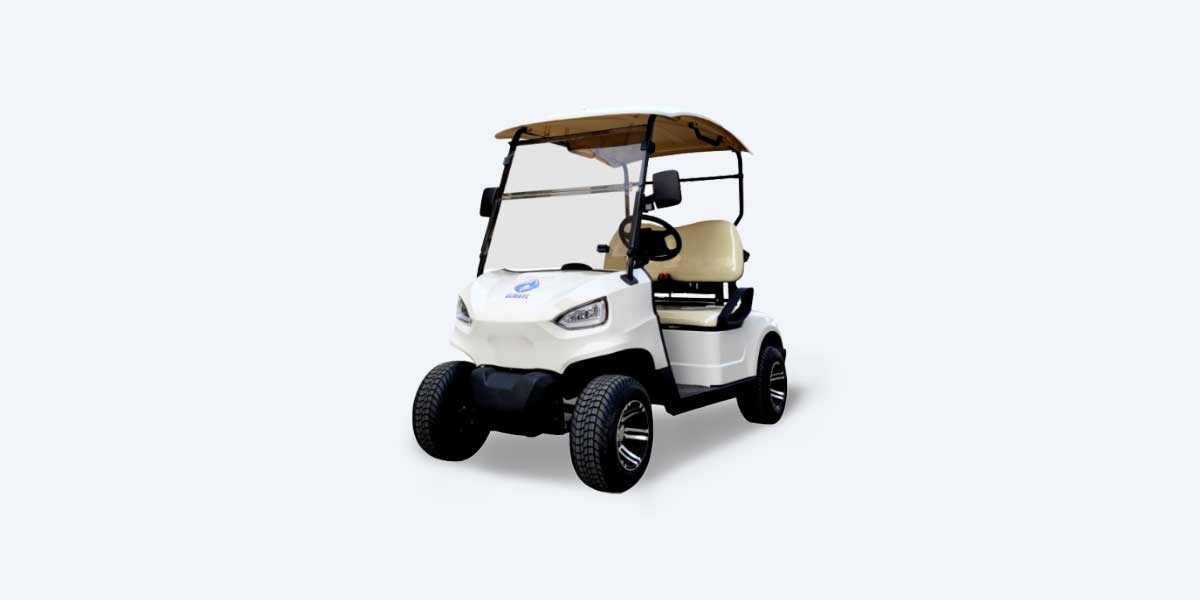 Alwayz 2 seater Golf Cart price