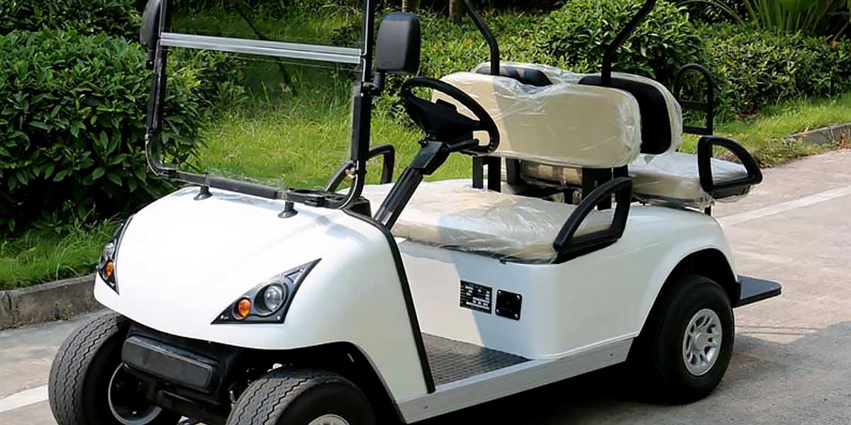 Marshell 2 Seater Golf Cart DG M2 range