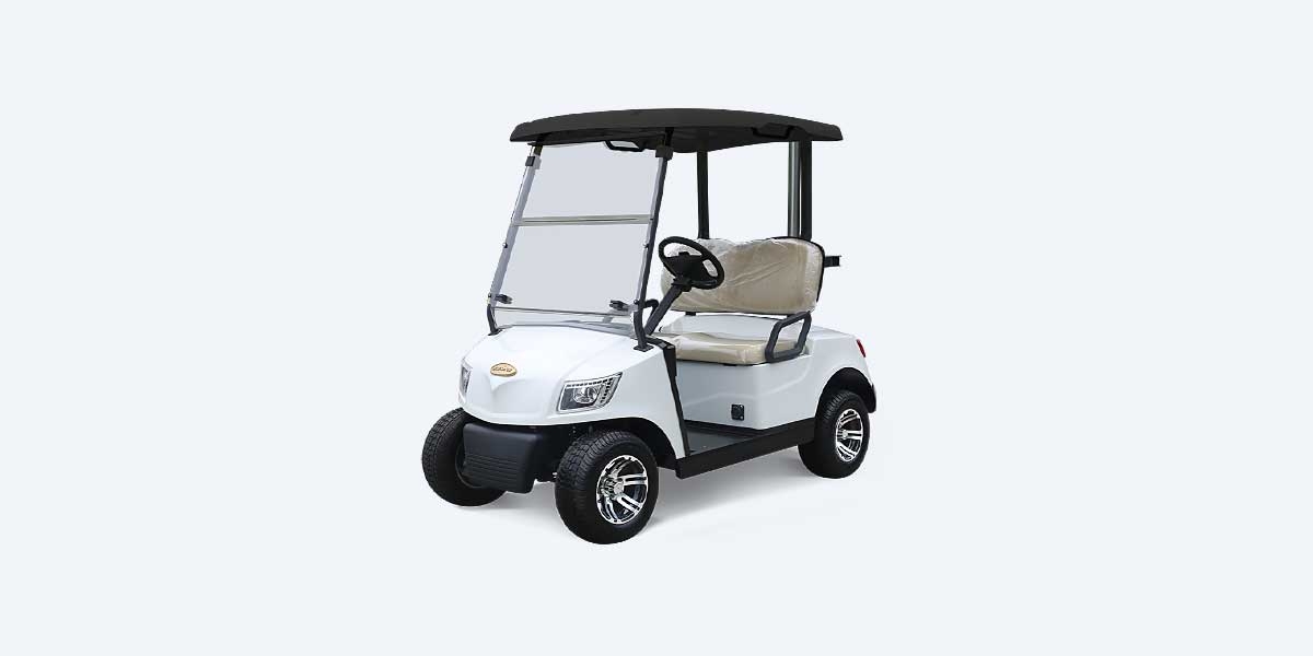 Video Review on Marshell 2 Seater Golf Cart DG-M2