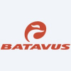 EV-Batavus