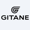 EV-Gitane