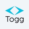 EV-Togg