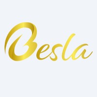 Besla logo